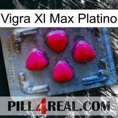 Vigra Xl Max Platinum 13